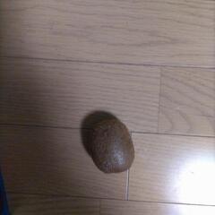 (決まりました！)キウイフルーツ19個食べ頃の画像