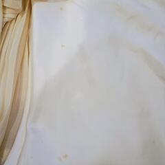 ウィルセレクション　ワンピースの画像