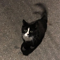 言語交換、勉強仲間‼️