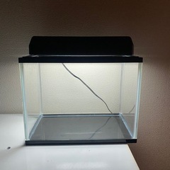 30センチ水槽フルセットの画像