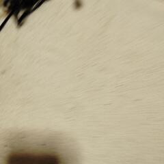 ナイキパーカーの画像