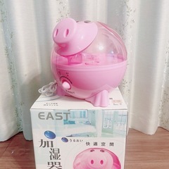 可愛い加湿器
