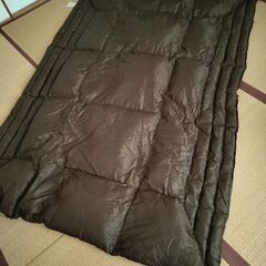 ニトリ　羽毛掛け布団