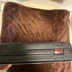 ベース　ヘッドアンプ　ebs350 訳ありの画像