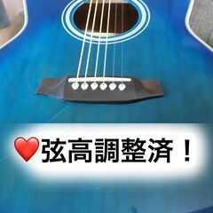 ❤️弦高調整済！💙「Ashton OM-24JP/BLS」ブルー...