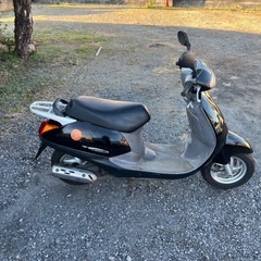 954.　動画あり　ホンダ　AF48 リード50 原付　バイク　50cc 車体　埼玉の画像