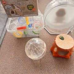 ハムスター　飼育セット