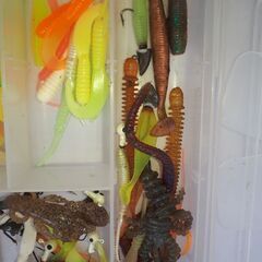 釣り　エギ　船の画像