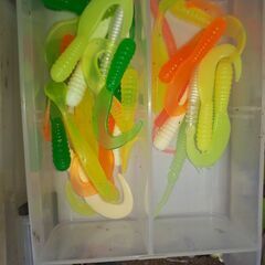 釣り　エギ　船の画像