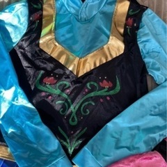 アナのドレス
の画像