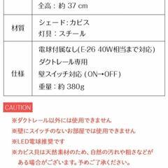 お花とカピス貝のダクトレール専用スポットライト　ペンダントライトの画像