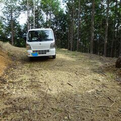 陽当たりの良い6850坪の桧の山林　車通行可　水源あり − 岡山県