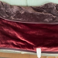 電気毛布