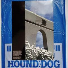 HOUNDDOGツアー写真集の画像