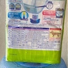 ペット用紙オムツの画像