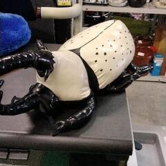 0116-074 グラントシロカブトぬいぐるみ