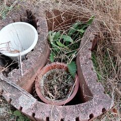 ⑤花瓶ですの画像