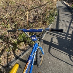  BMX KUWAHARA Survivor24 (クワハラサバイバー２４)　の画像