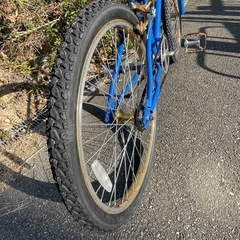  BMX KUWAHARA Survivor24 (クワハラサバイバー２４)　の画像