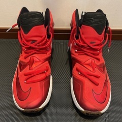 NIKE      LEBRONJAMES13の画像