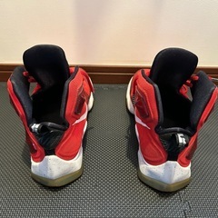 NIKE      LEBRONJAMES13の画像