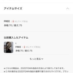 ファイバーダウンオーバーベストの画像