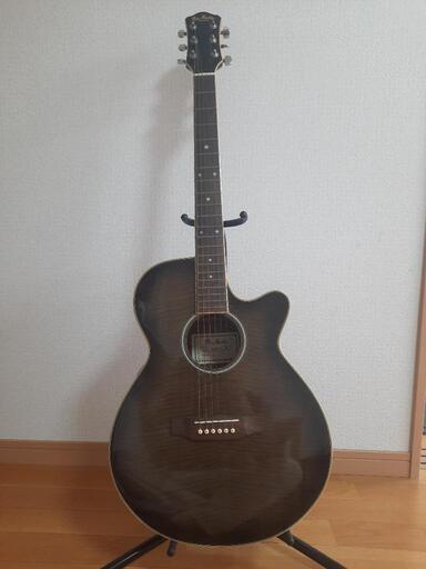 弦楽器、ギター pro martin ea500w bks