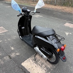 綺麗なトゥデイ！整備済み！すぐに乗れます！todayディオの画像