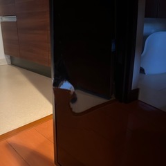 TOSHIBA液晶テレビ【画面割れてます】の画像