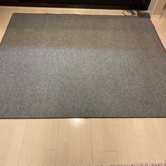 ホットカーペット ダイキン180×180の画像