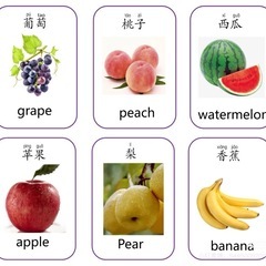 OGAオンライン中国語教室　の画像