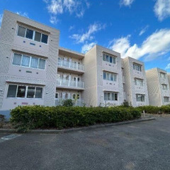 🐍🎍1月16日新着物件!!🎍🐍『初期費用はコミコミ8万円(税込)...