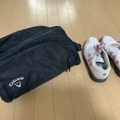 ゴルフバッグとクラブのセットの画像