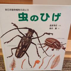 虫のひげ