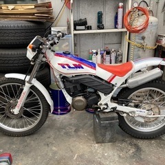 ホンダTLM220の画像