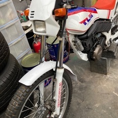 ホンダTLM220の画像