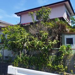 山口県内の草を丁寧に刈り取ります。 − 山口県