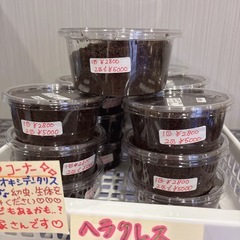 幼虫販売💜えくにゃん福岡　