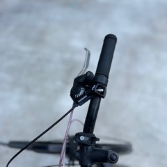 自転車　子供　24インチ　ブリヂストン　SCHLEINの画像