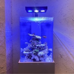 はじめての海水水槽フルセット 30cmオーバーフロー水槽の画像