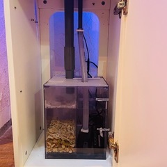 はじめての海水水槽フルセット 30cmオーバーフロー水槽の画像