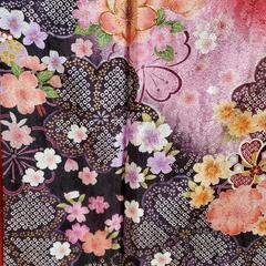 振り袖(56) 長襦袢、袋帯、小物セットの画像