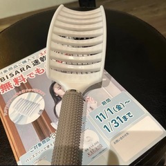 ビサラ 速乾ブラシ ブラシの画像