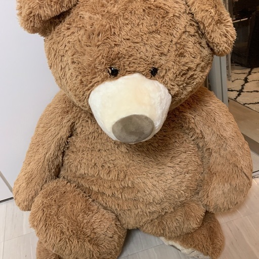 コストコのクマのぬいぐるみ