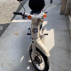 リトルカブの画像