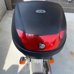 リトルカブの画像