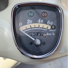 リトルカブの画像