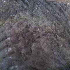 石臼　飾り　金魚　ビオトープの画像