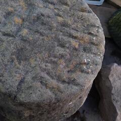 石臼　飾り　金魚　ビオトープ
