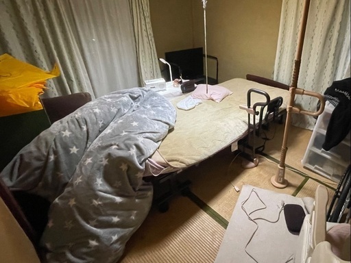 電動シングル折りたたみベッド（セレサ3）